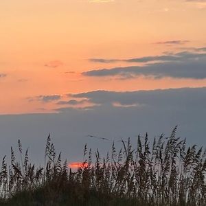 Meet your Posher, Jared